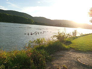 Sommerliche Stimmung am Rhein bei Leutesdorf